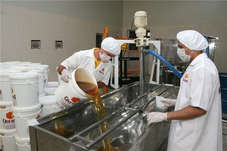 Produção de mel em Picos cresce 50% e Piauí passa a exportar para Europa